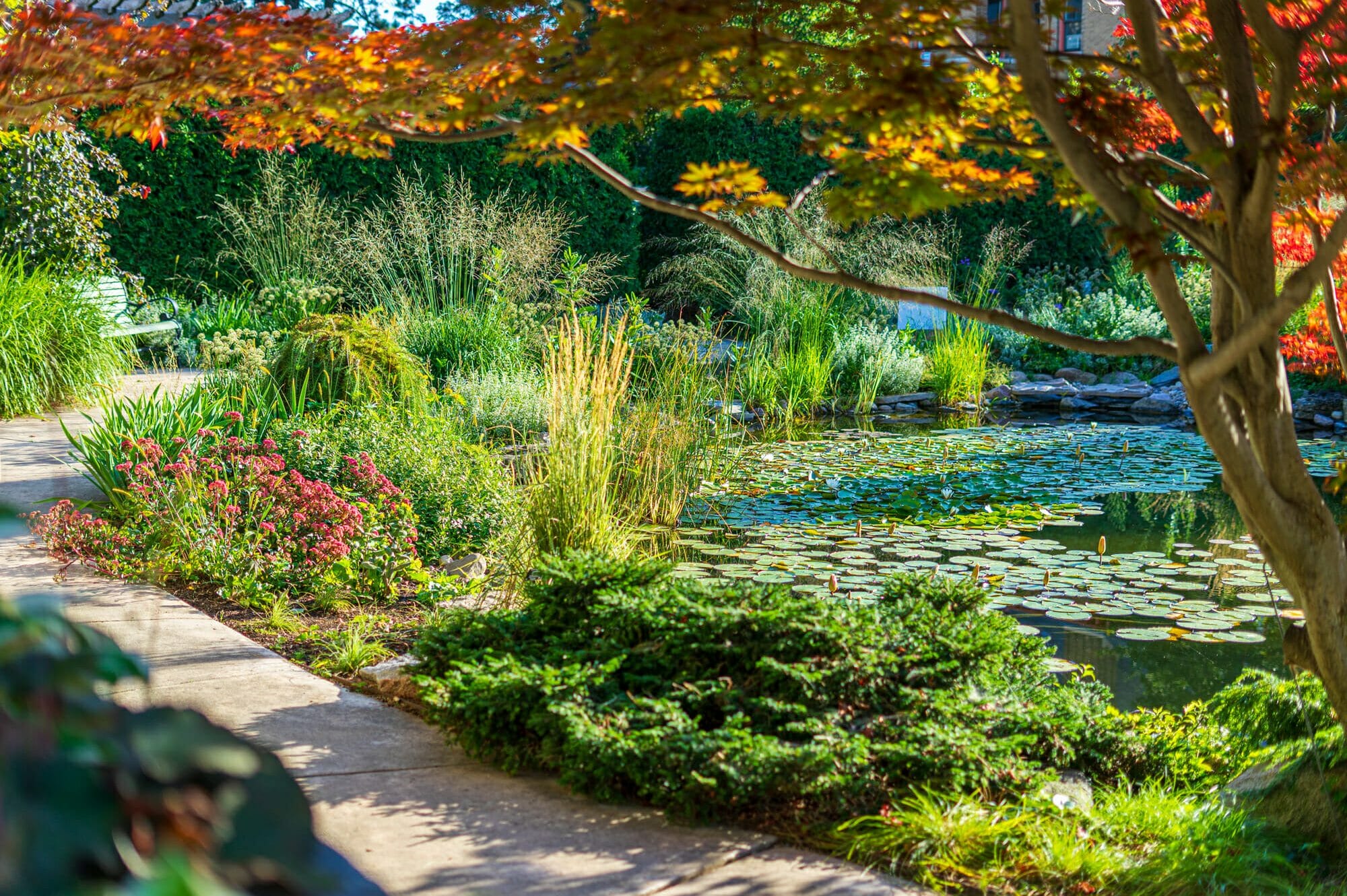 Yoga at Allen Centennial Gardens – Plant and Agroecosystem Sciences